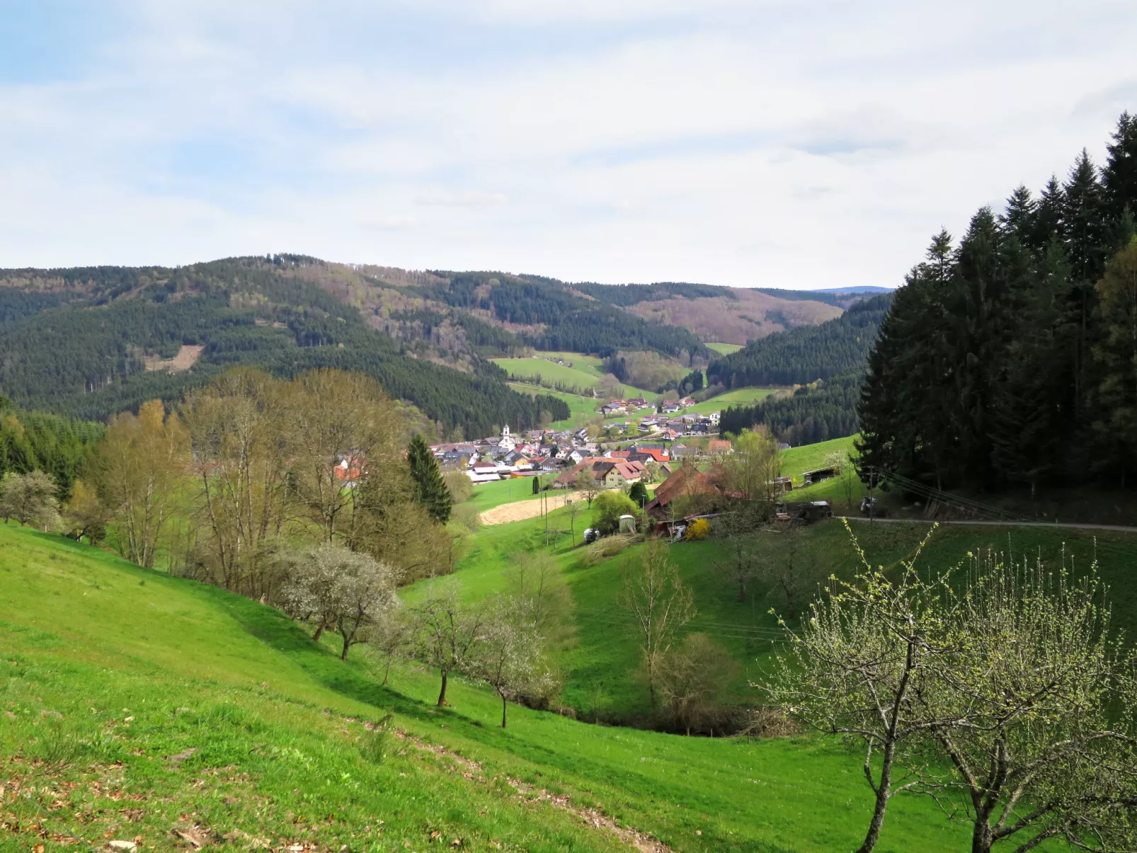 Mittelberghof-Area