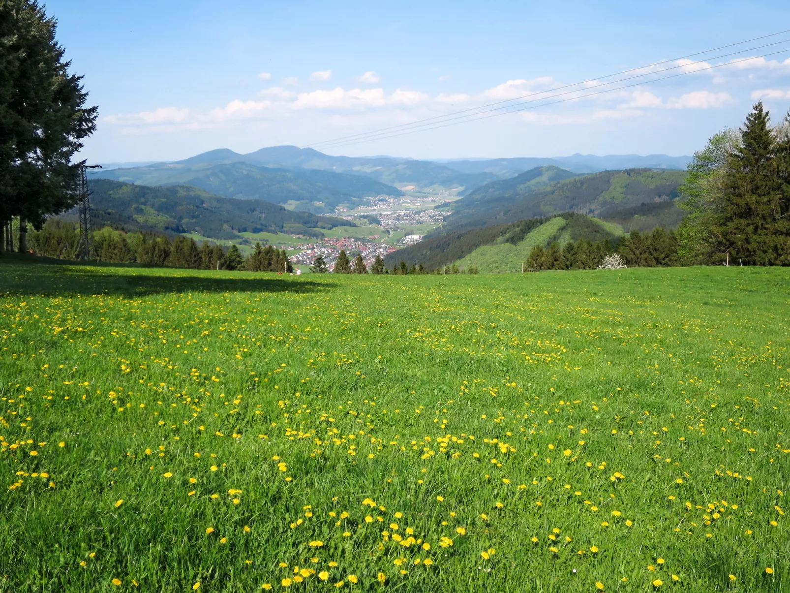Mittelberghof-Area