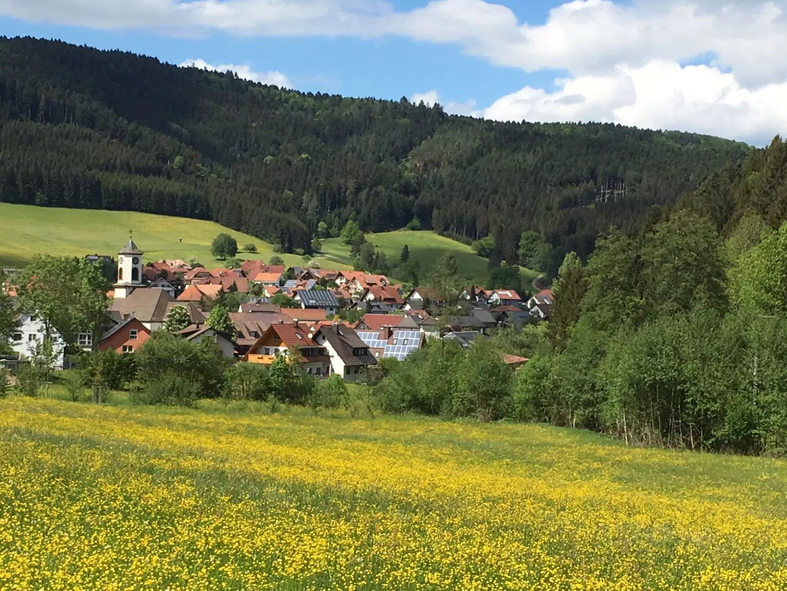 Mittelberghof-Area