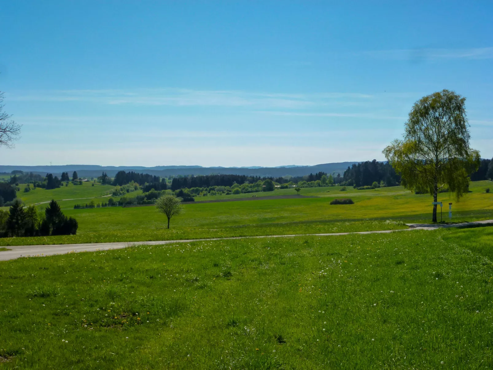 Sonnenschein (B 110)-Outside