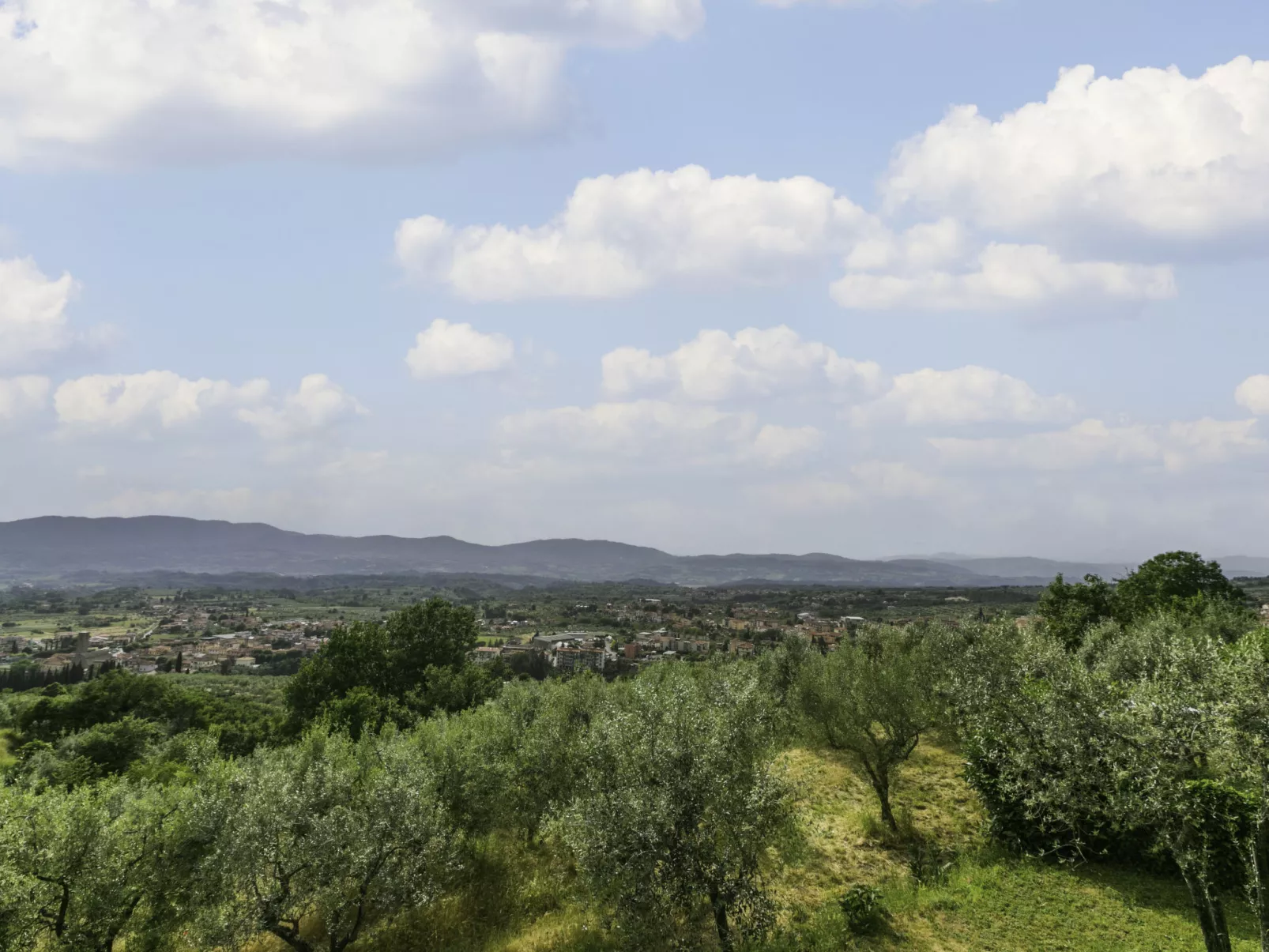 Podere Berrettino-Outside