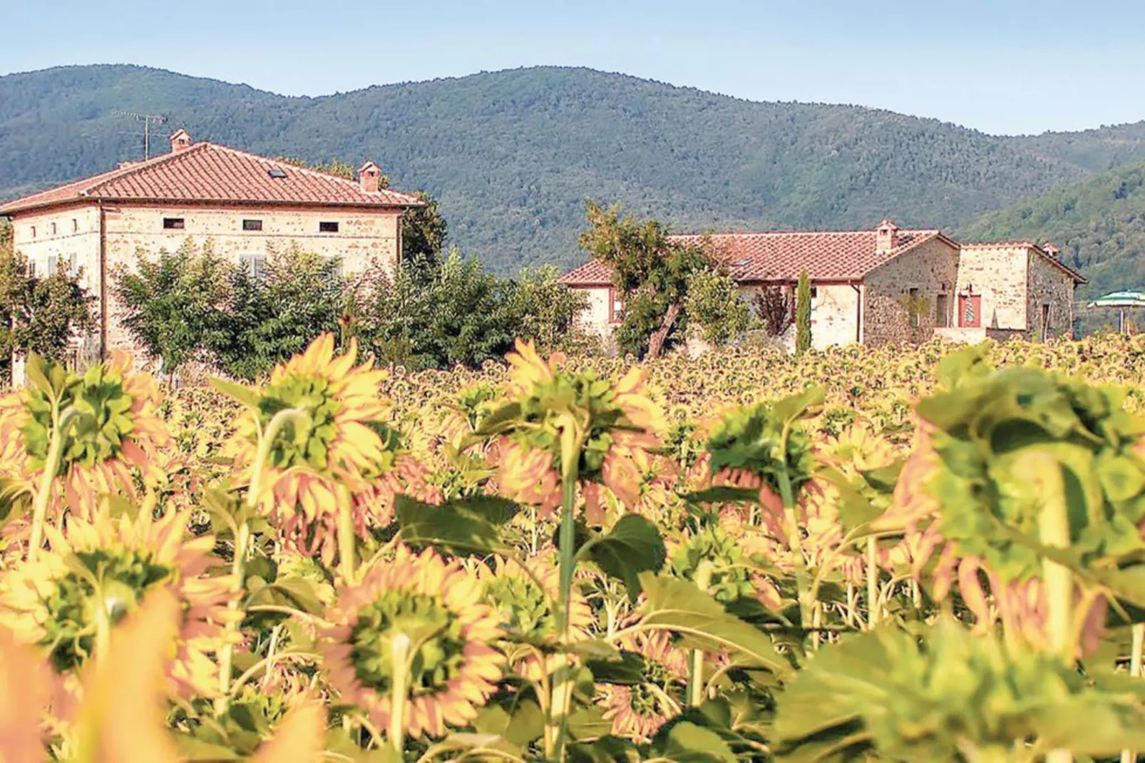 Villino Quattro