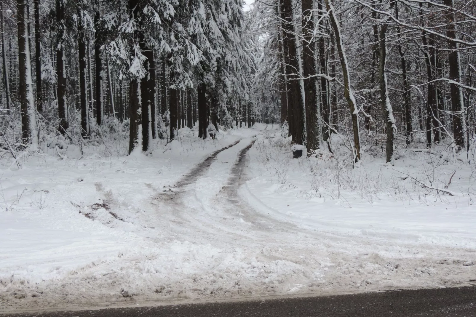 Au Hotleu maison reuter-Zone d'hiver à 1 km
