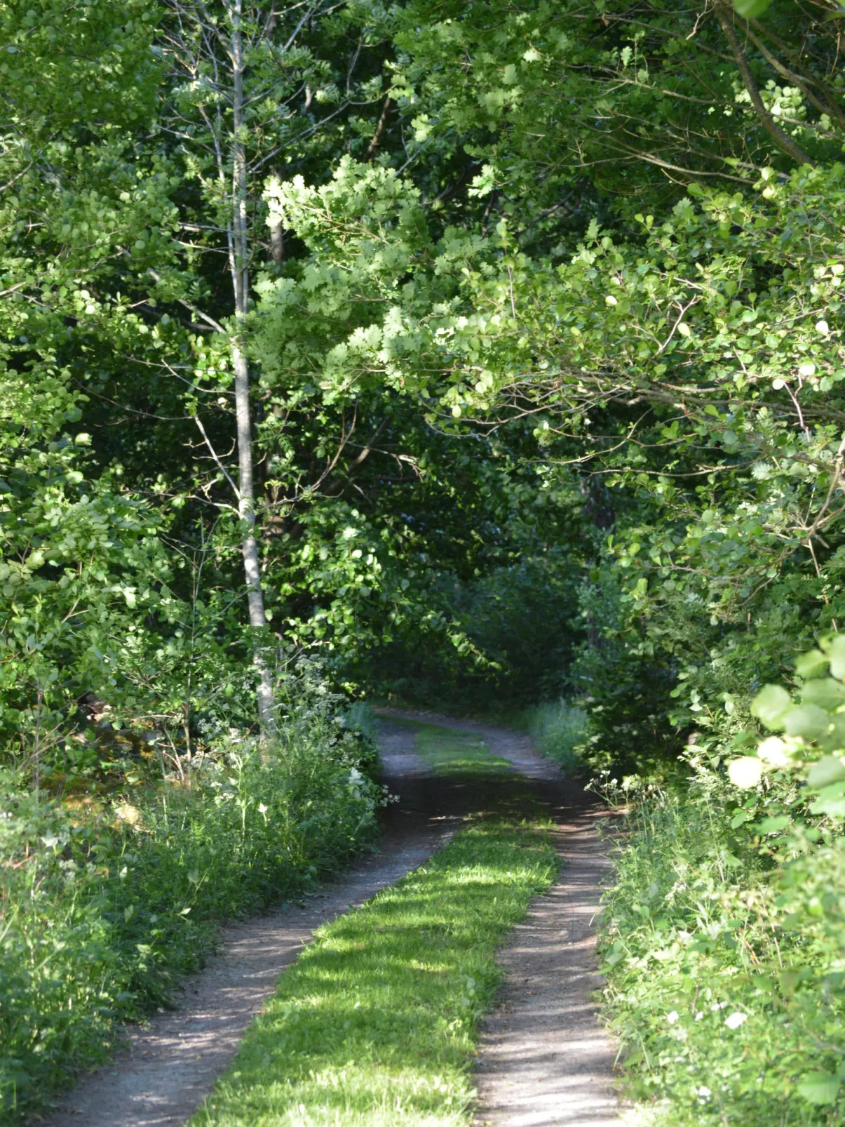 Skärvudde Torpet-Outside