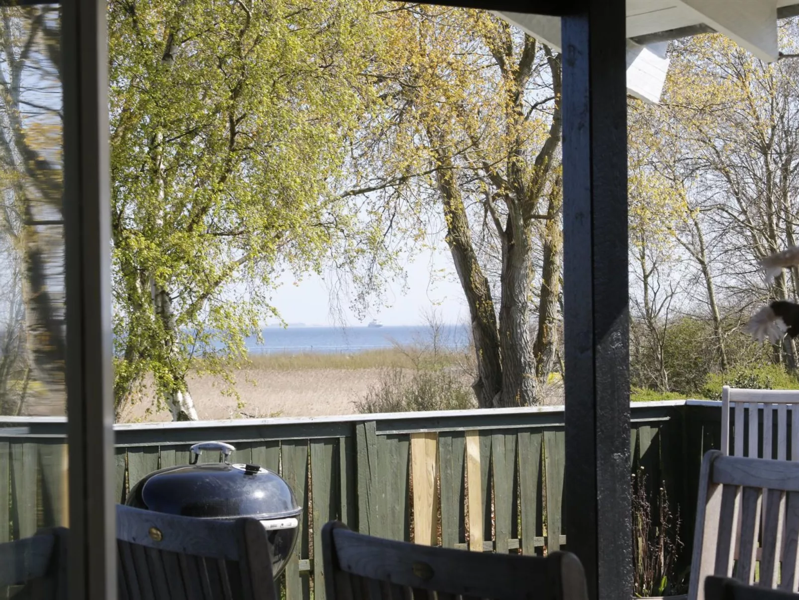 "Bridgette" - 100m from the sea-Outside