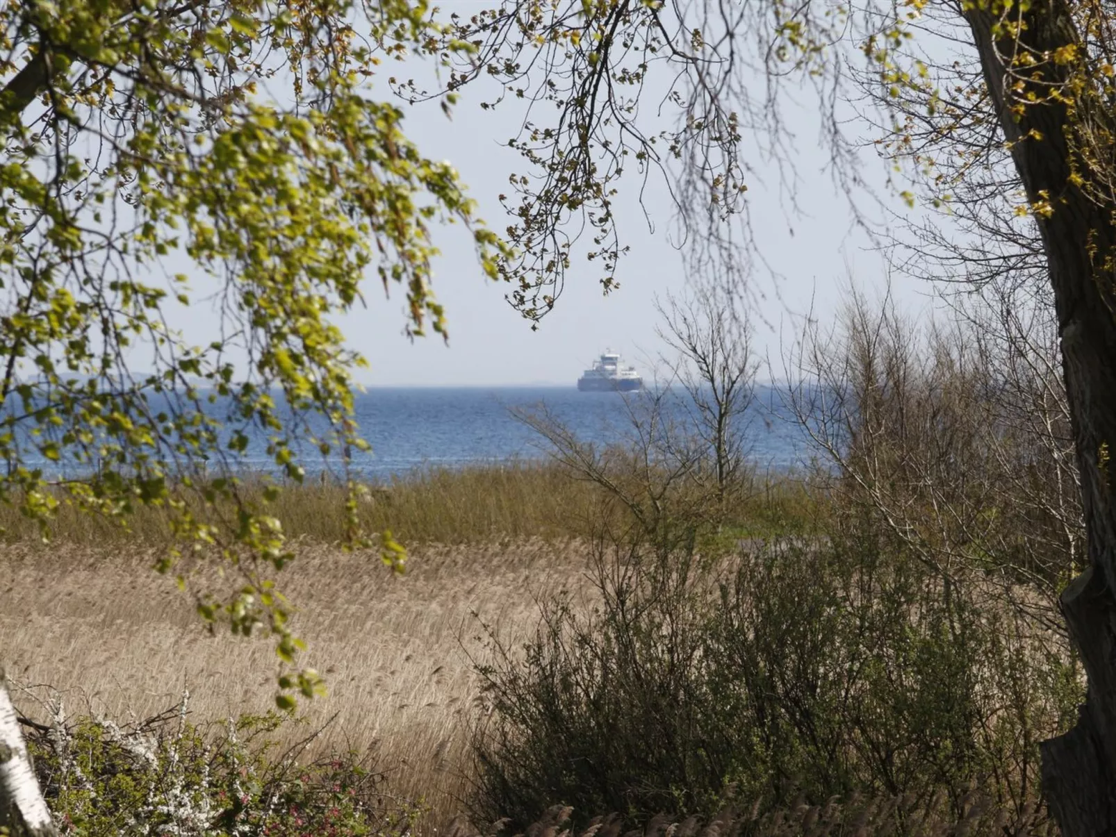 "Bridgette" - 100m from the sea-Outside