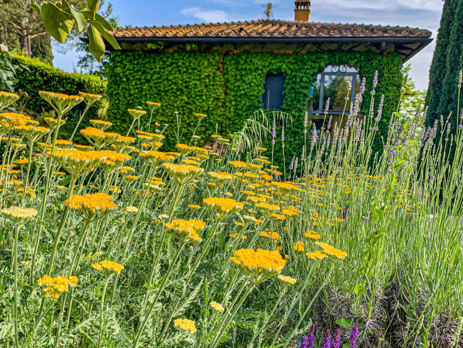 Villa Vittoria-Outside