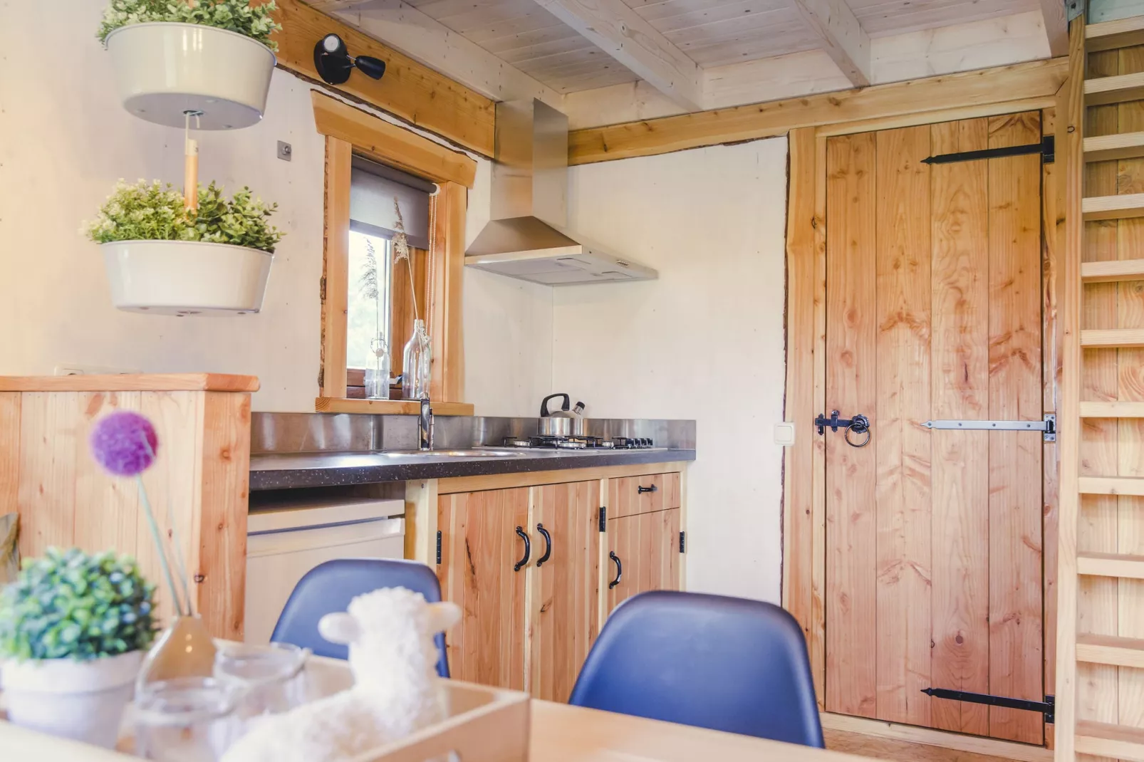 Vakantiepark Mölke 14-Kitchen