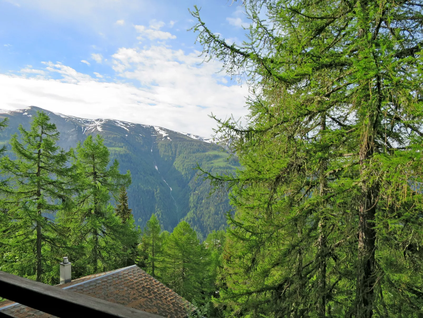Chalet Soldanella (BEL205)-Dehors