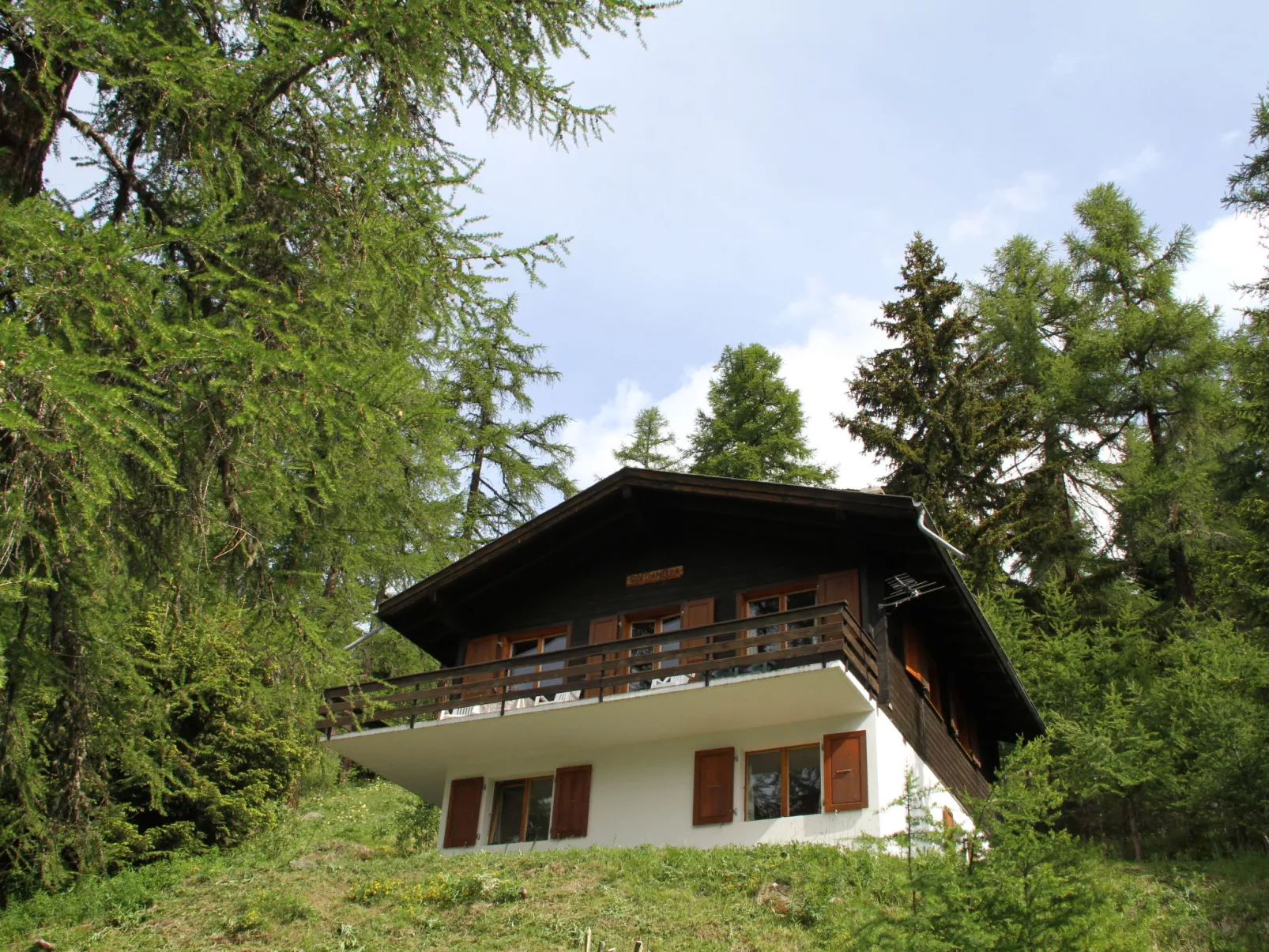 Chalet Soldanella (BEL205)-Dehors