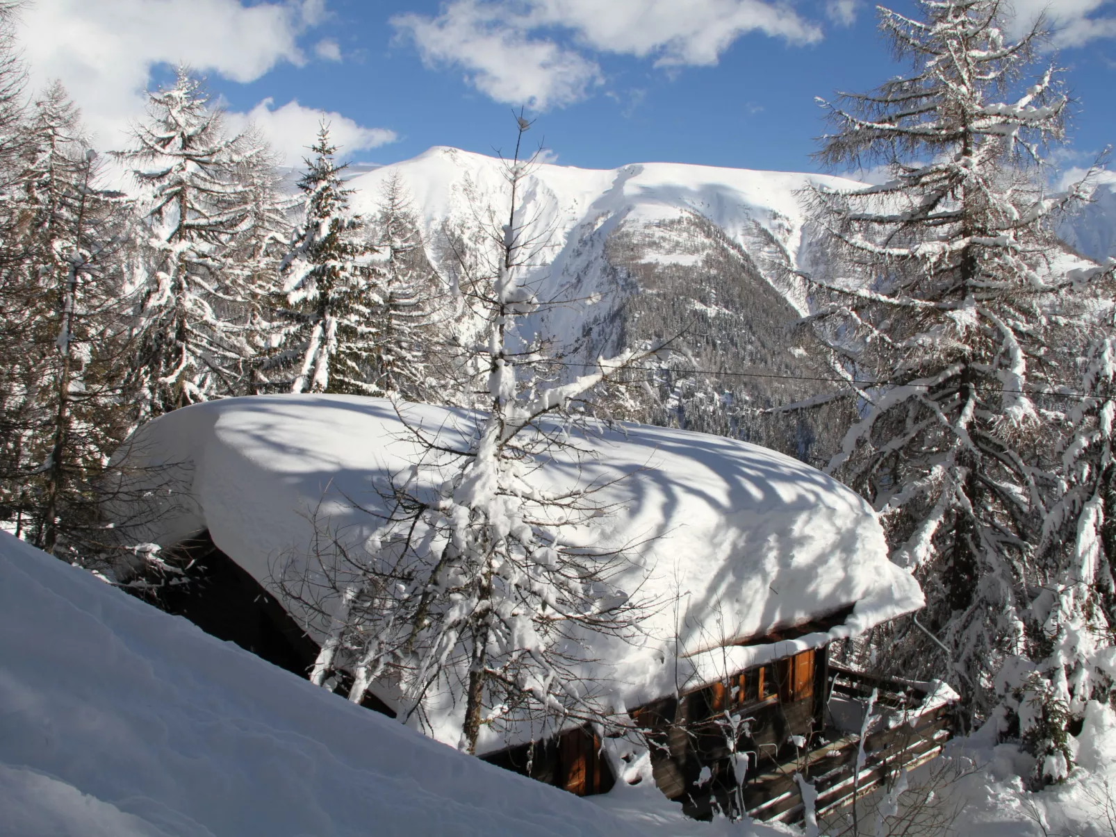 Chalet Soldanella (BEL205)-Dehors