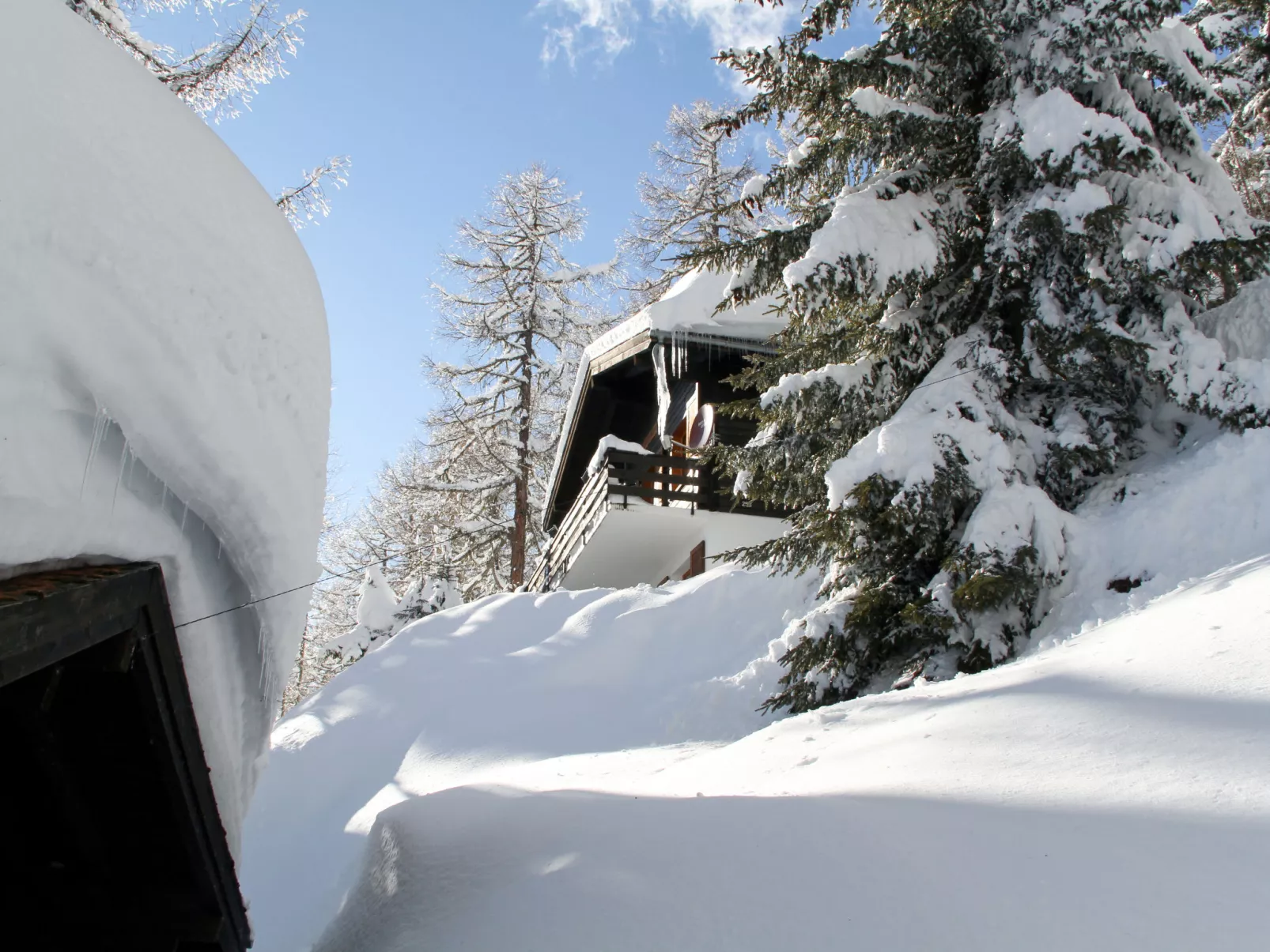 Chalet Soldanella (BEL205)-Dehors