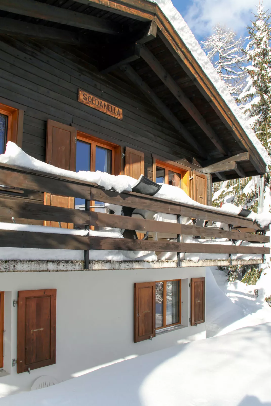 Chalet Soldanella (BEL205)-Dehors