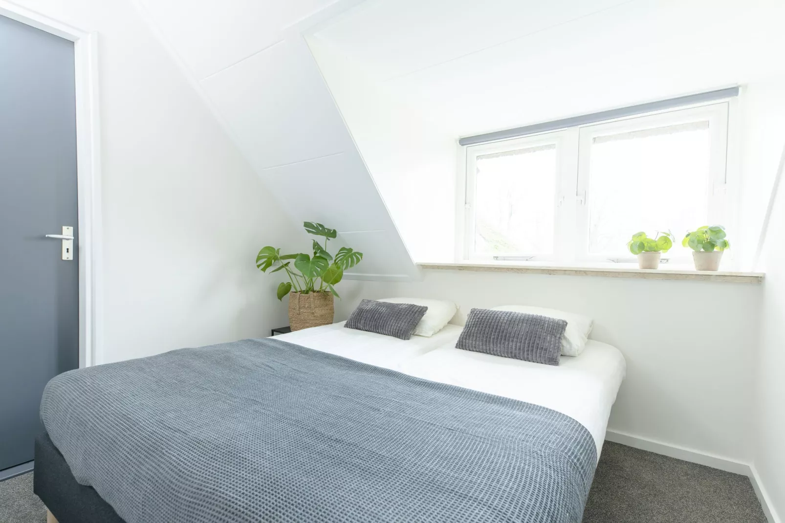 Vakantiepark Mölke 16-Bedroom