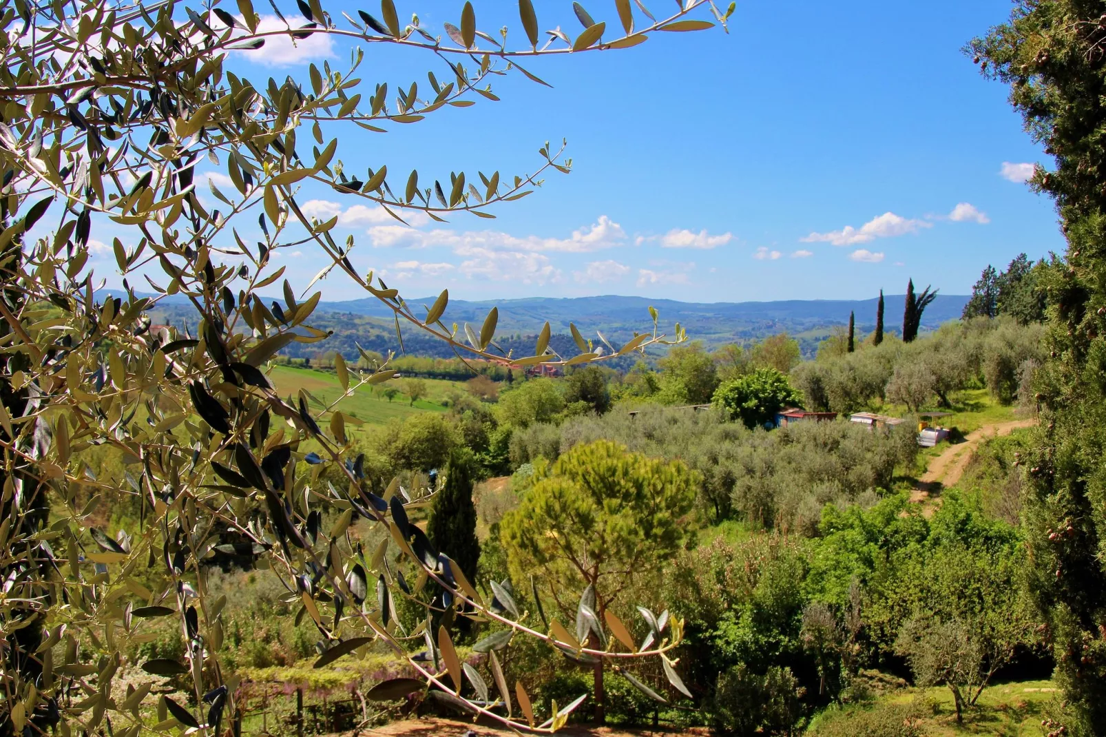 Rondine-View summer