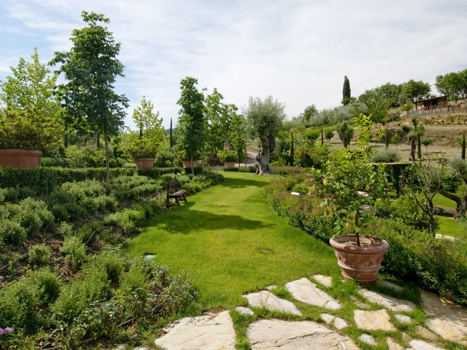 Il Borgo di Savignola-Outside