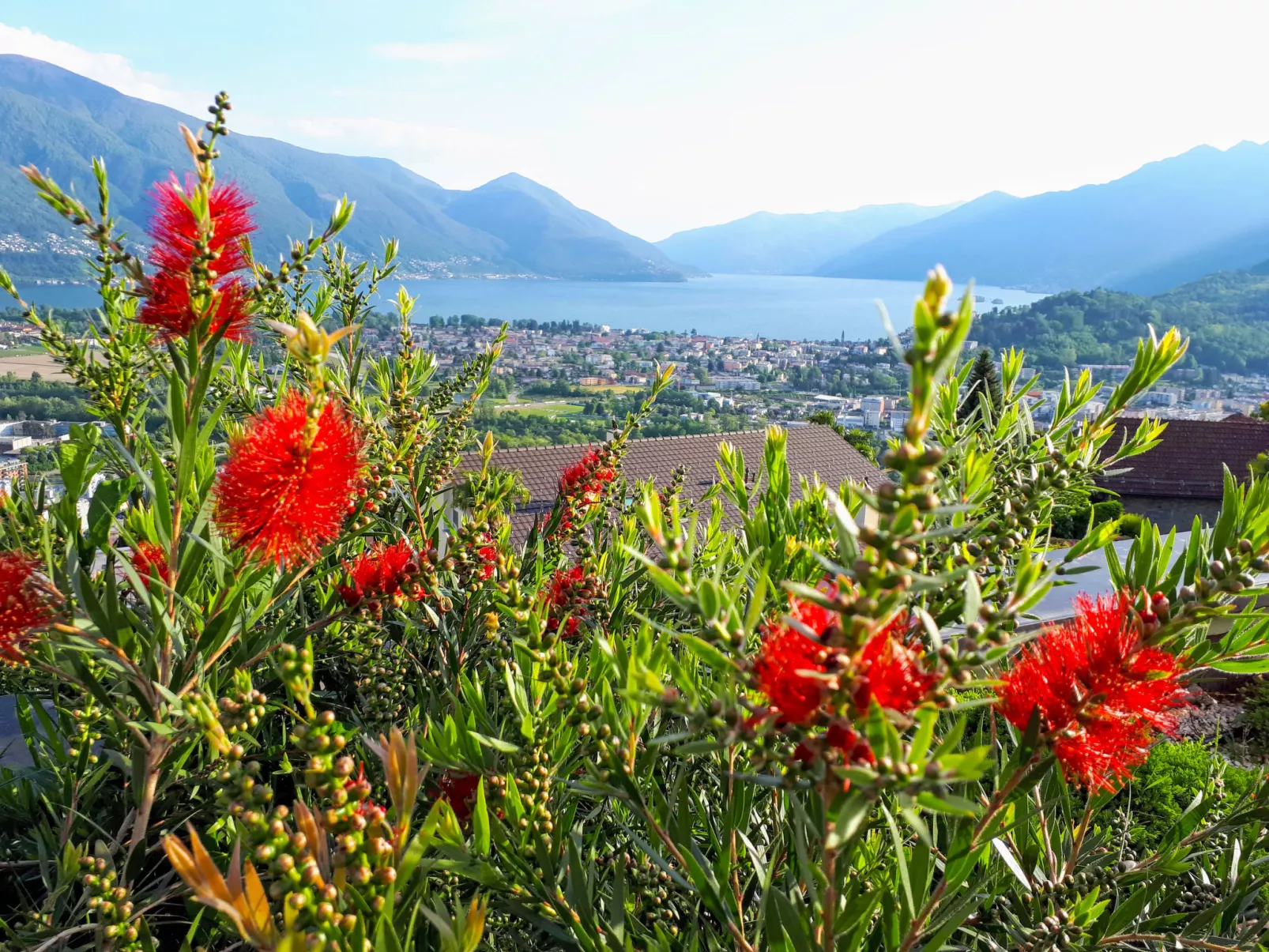 Vista Panorama-Outside