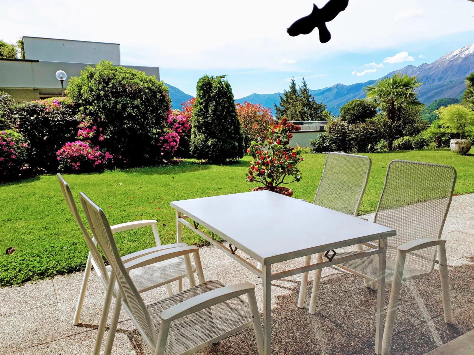 Vista Panorama-Outside