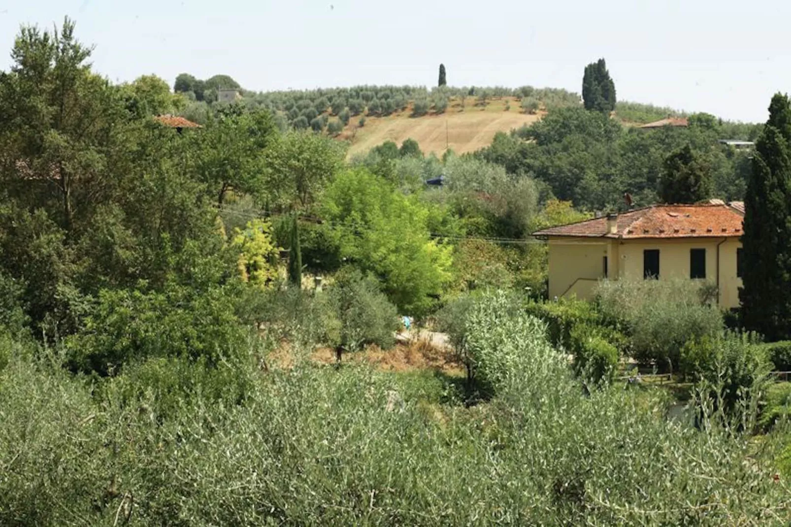 Rondine-Exterior summer