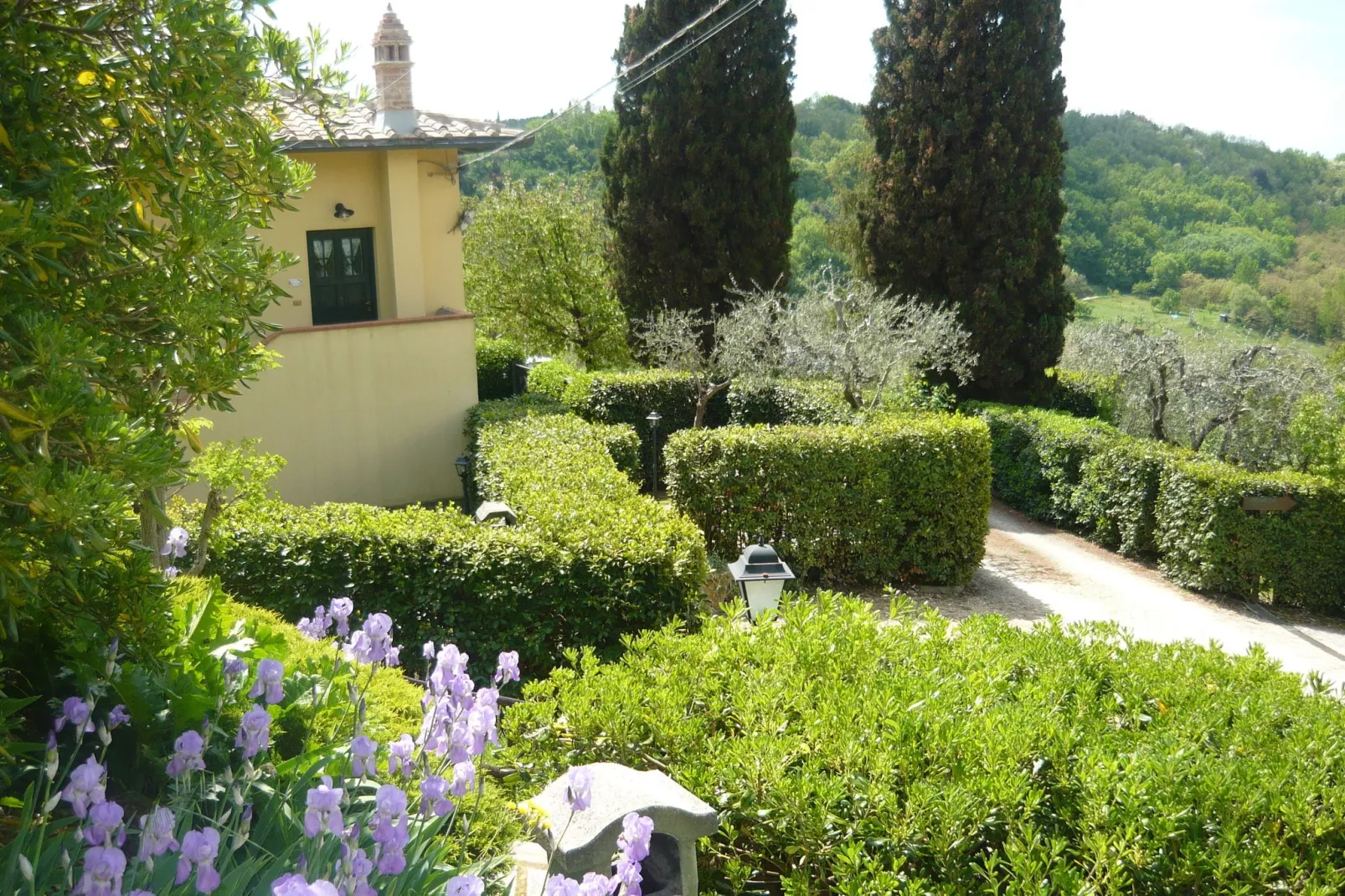 Rondine-Exterior summer
