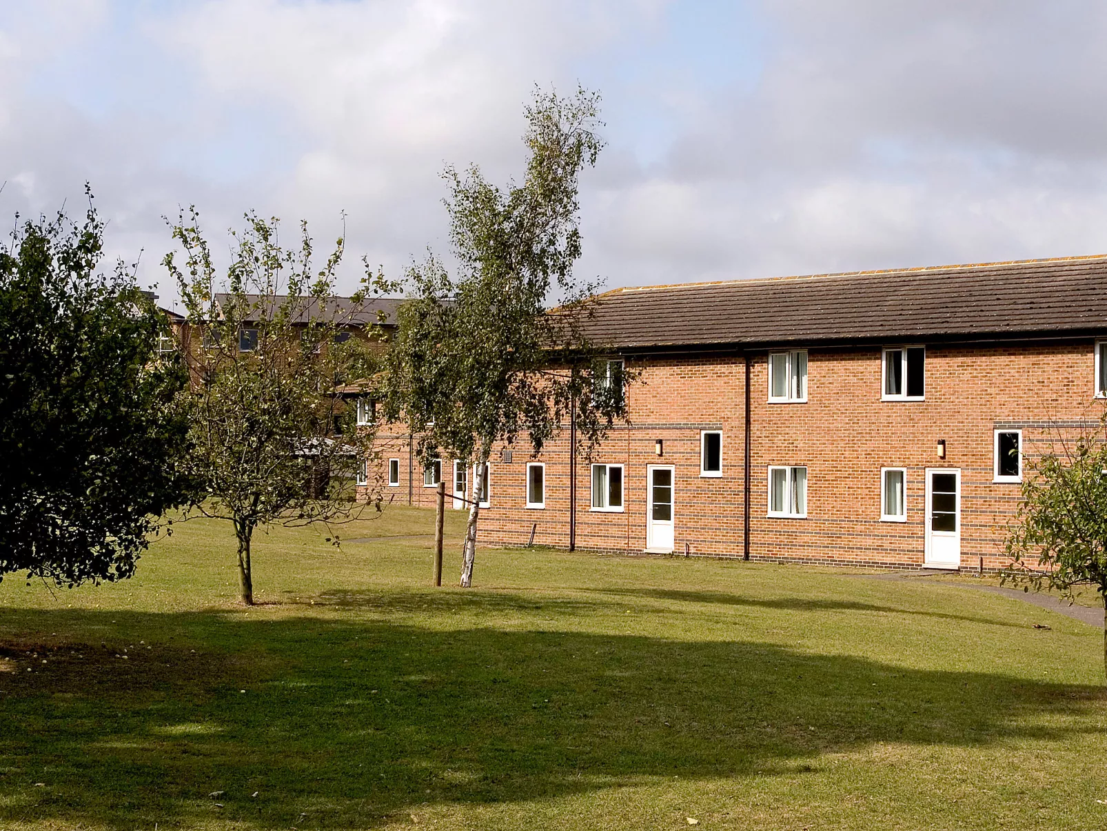 University Campus Park Wood-Outside