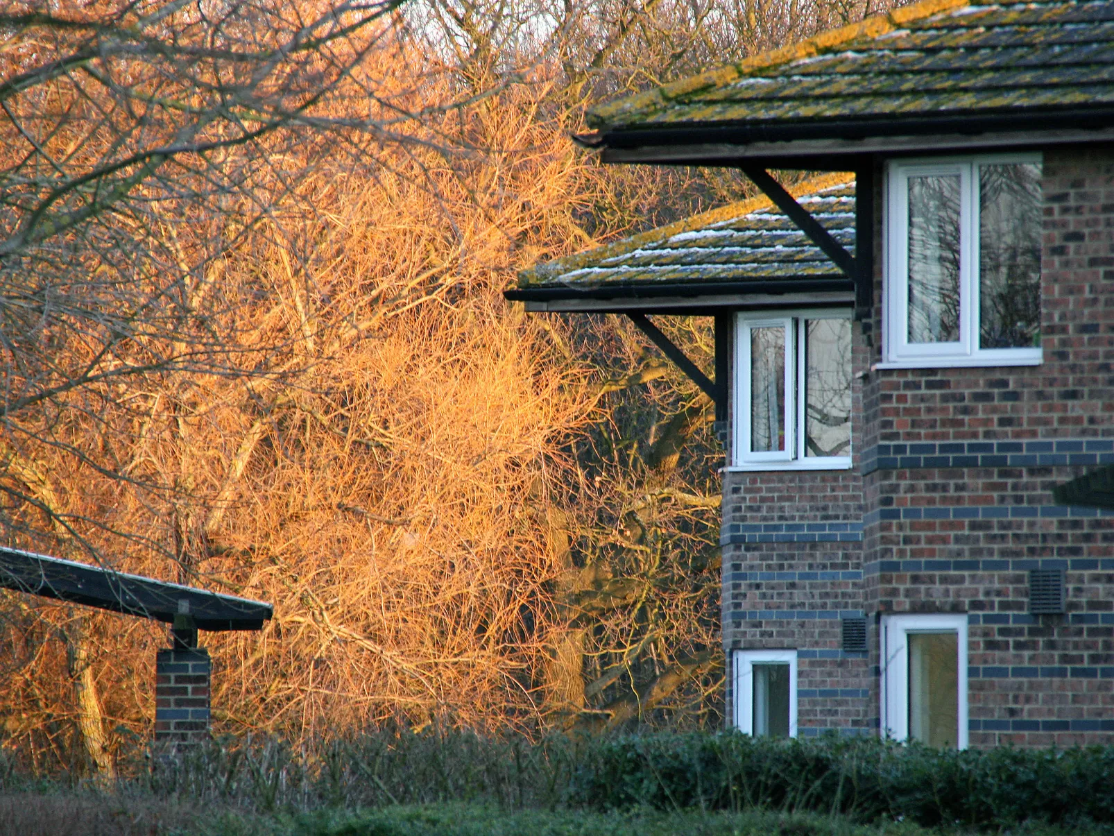 University Campus Park Wood-Outside