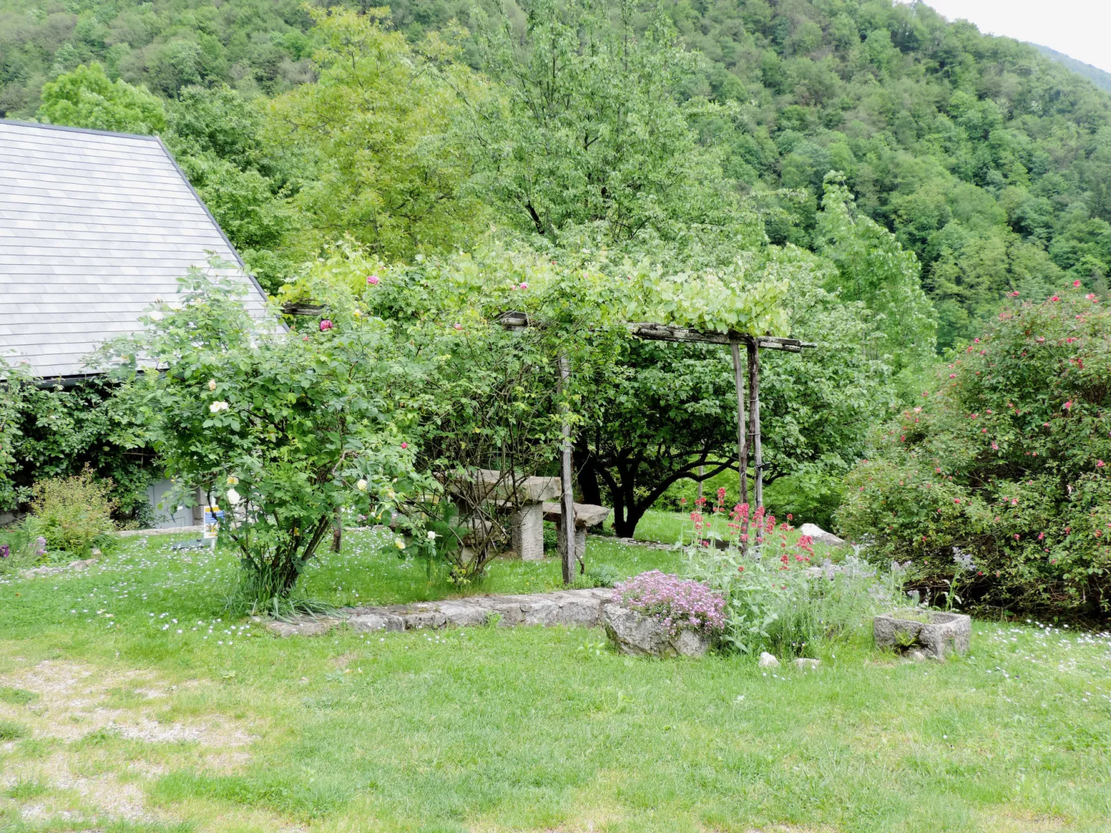 Casa Lienartova-Outside