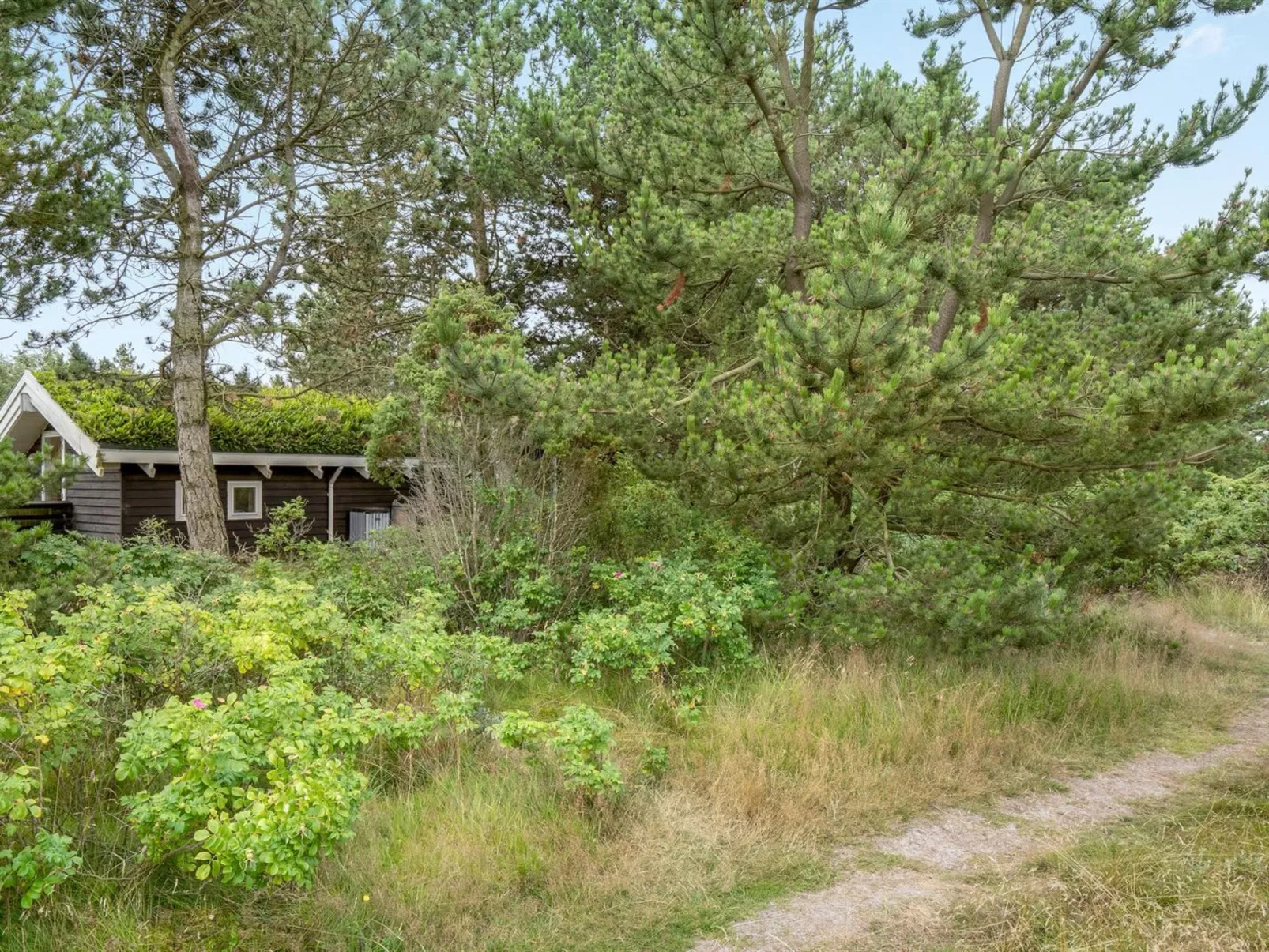 "Alfi" - 150m from the sea-Outside