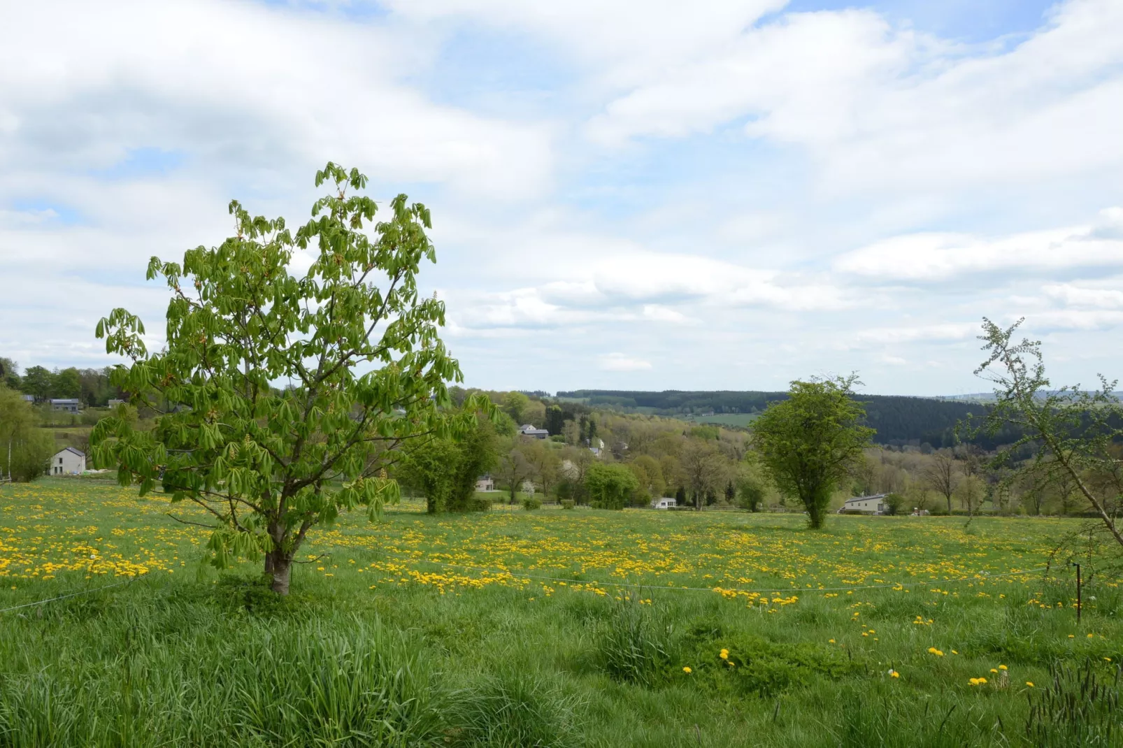Serenity-View summer