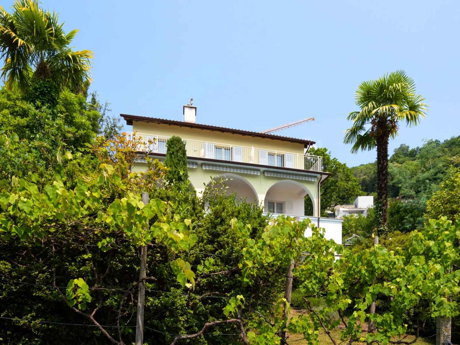 Villa Vernice Gialla-Draußen