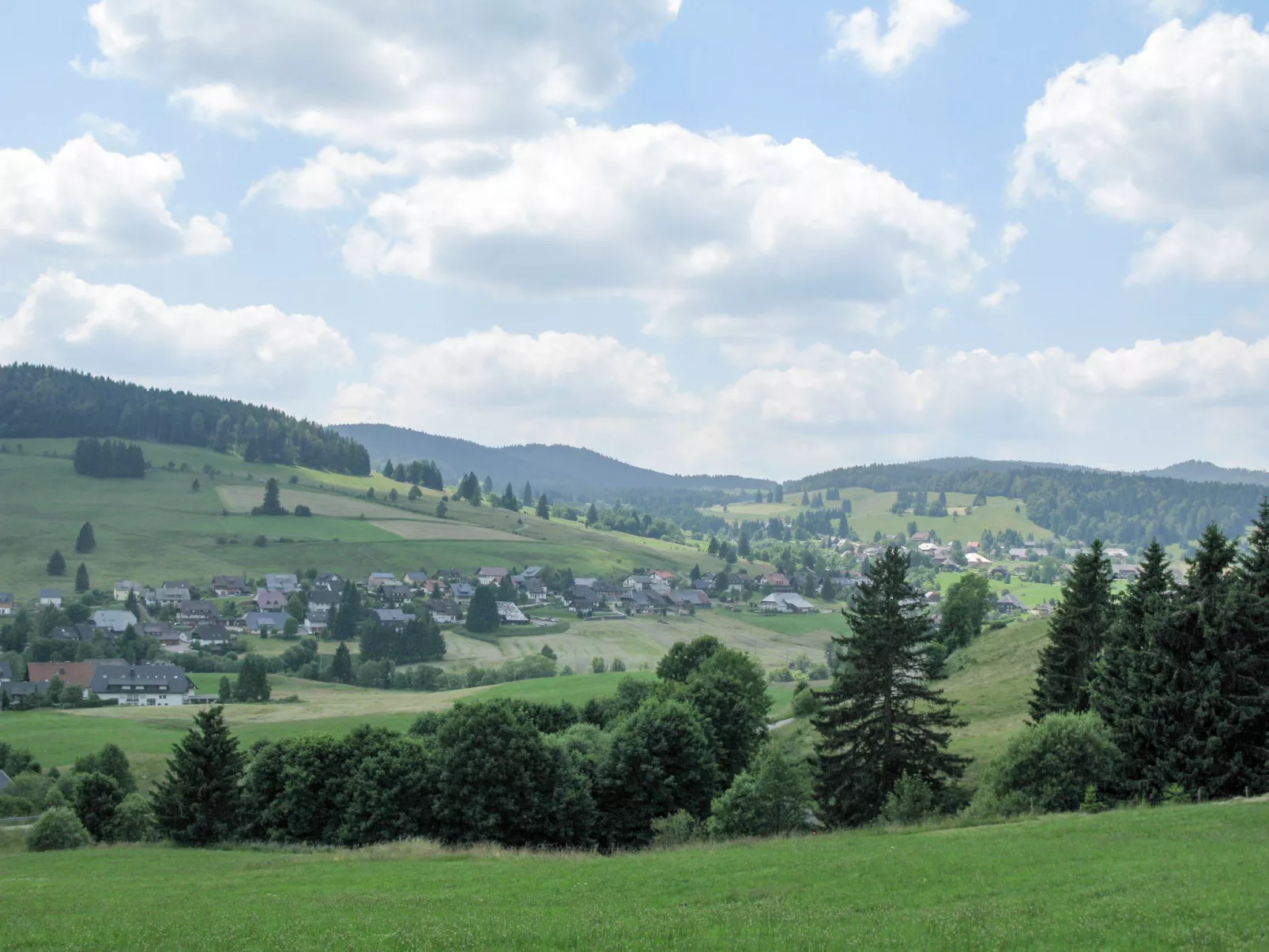Schwarzwaldblick I-Area