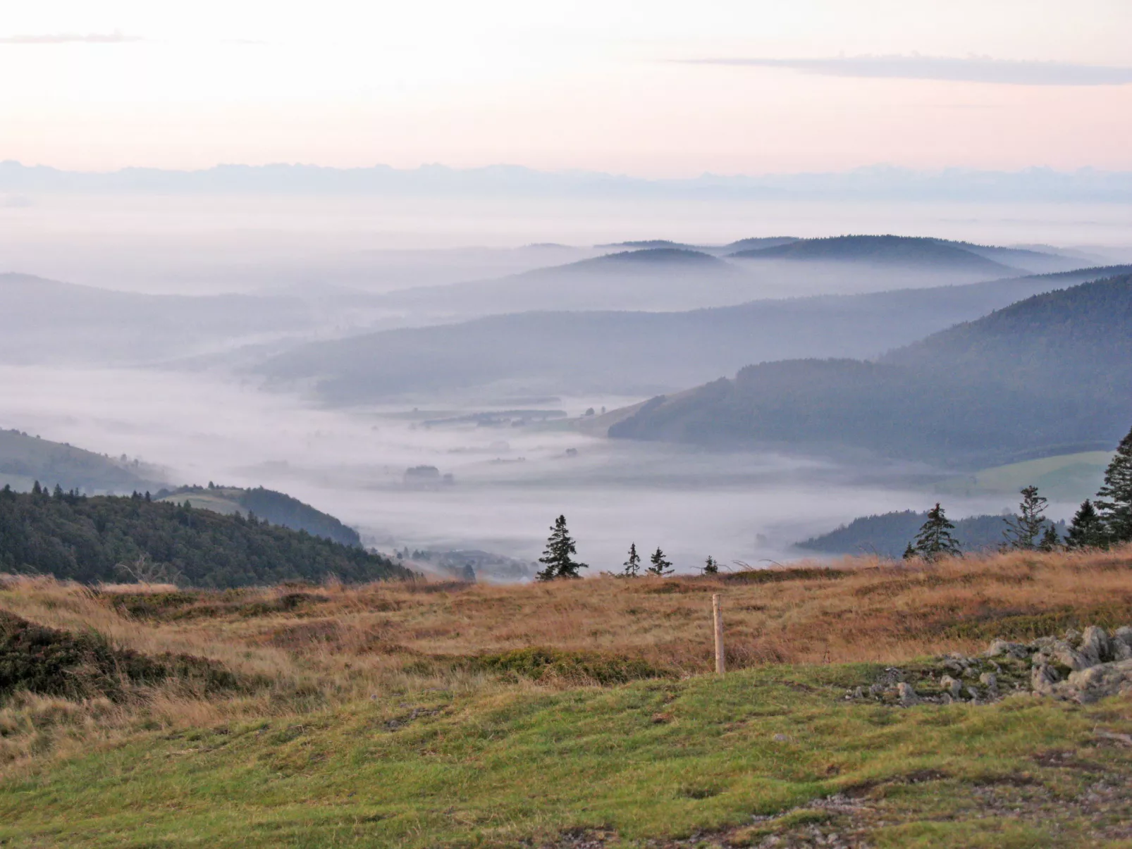 Schwarzwaldblick III-Area