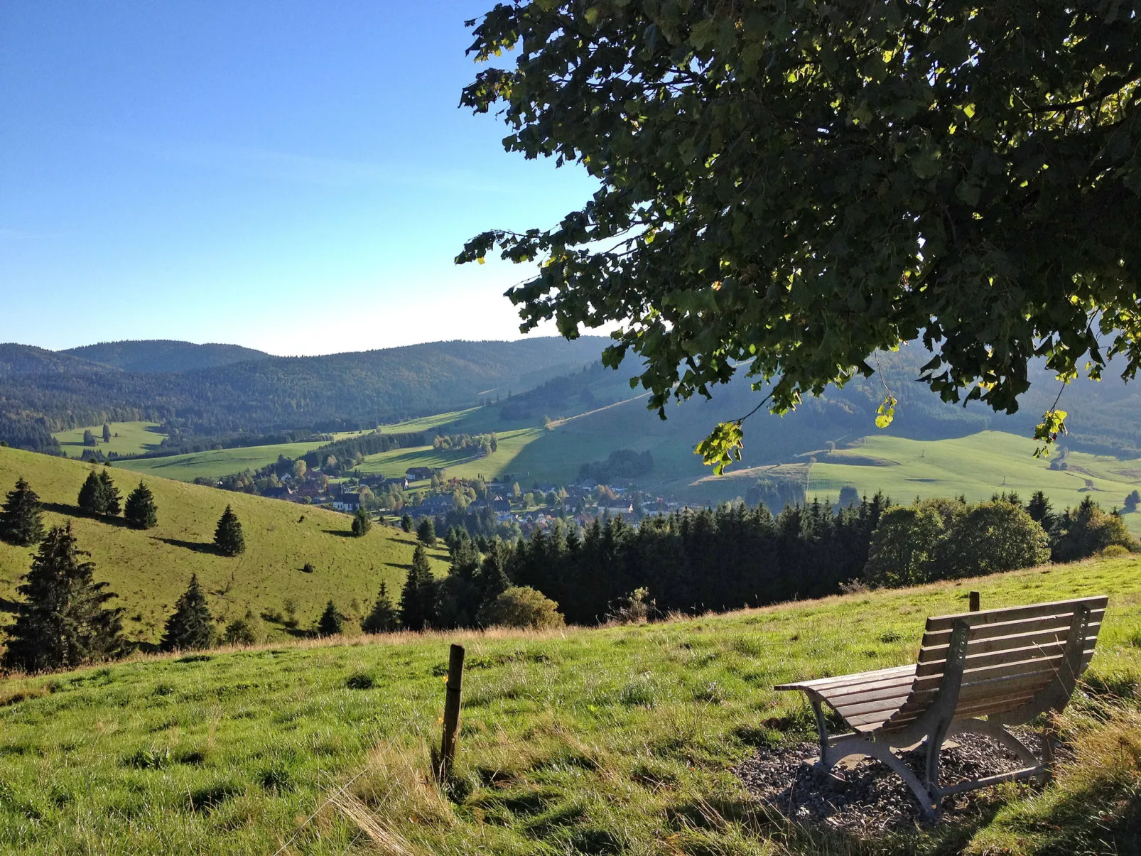 Schwarzwaldblick III-Area
