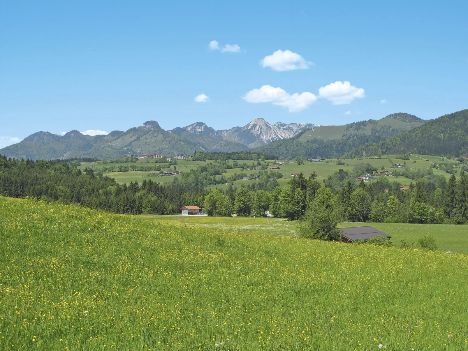 Widhölzl-Umgebung
