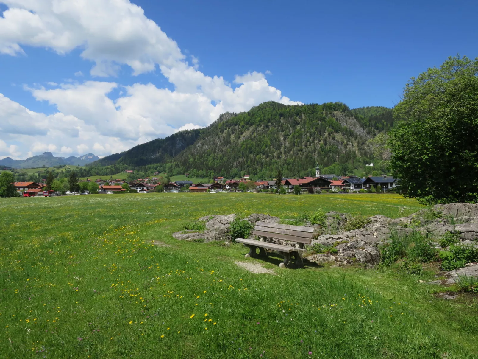 Widhölzl-Umgebung