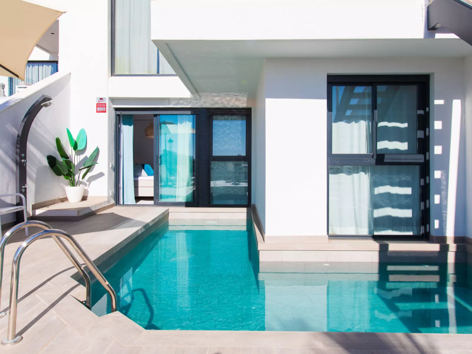 Royal Palm-Dehors