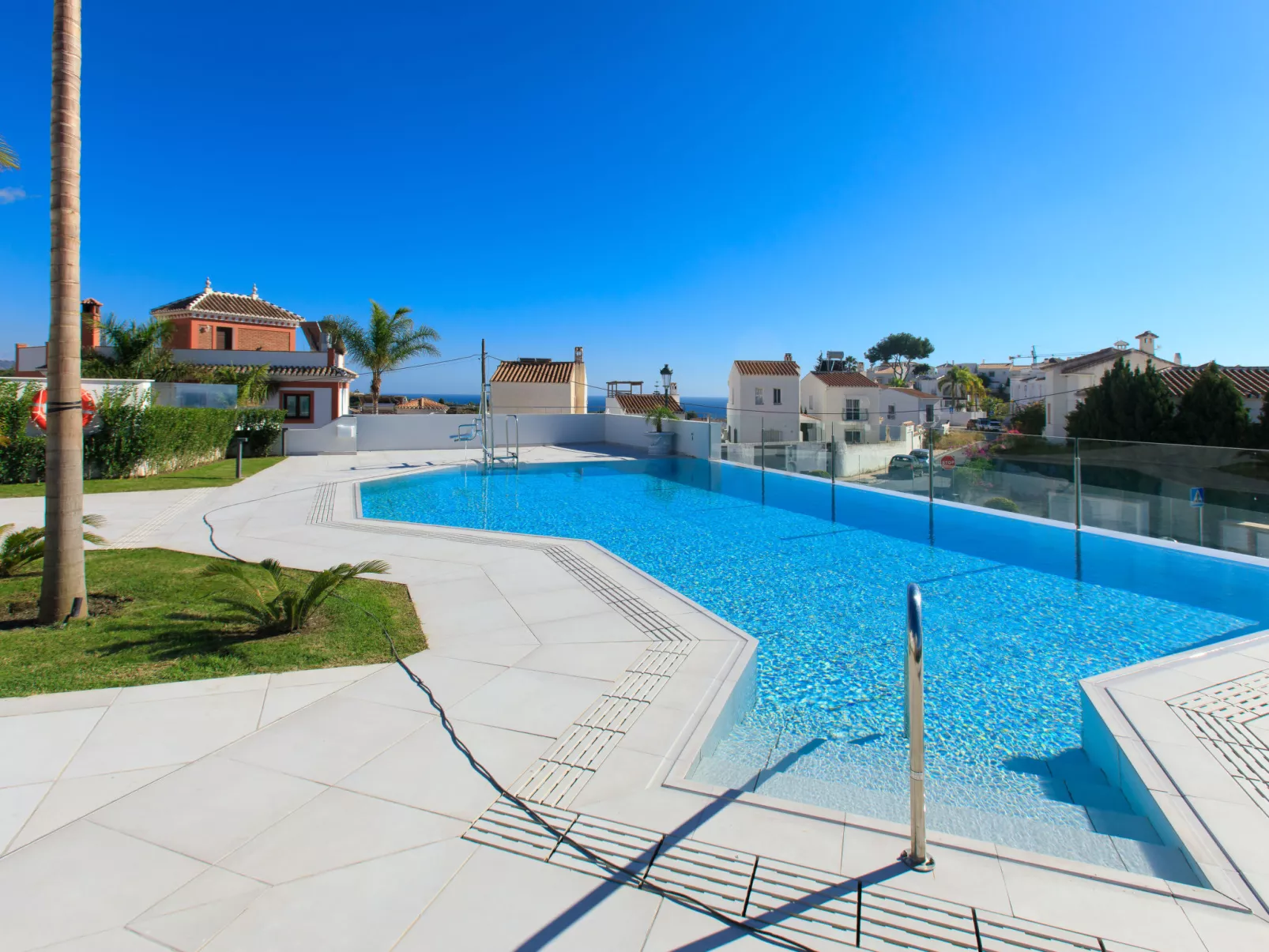 Royal Palm-Dehors