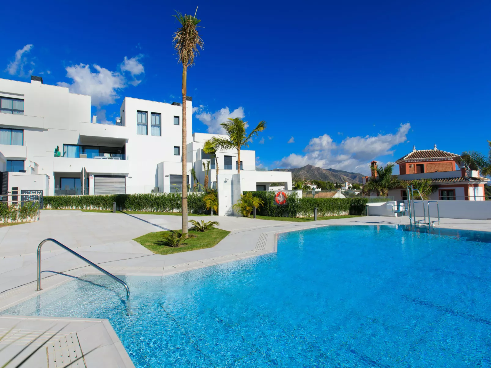 Royal Palm-Dehors