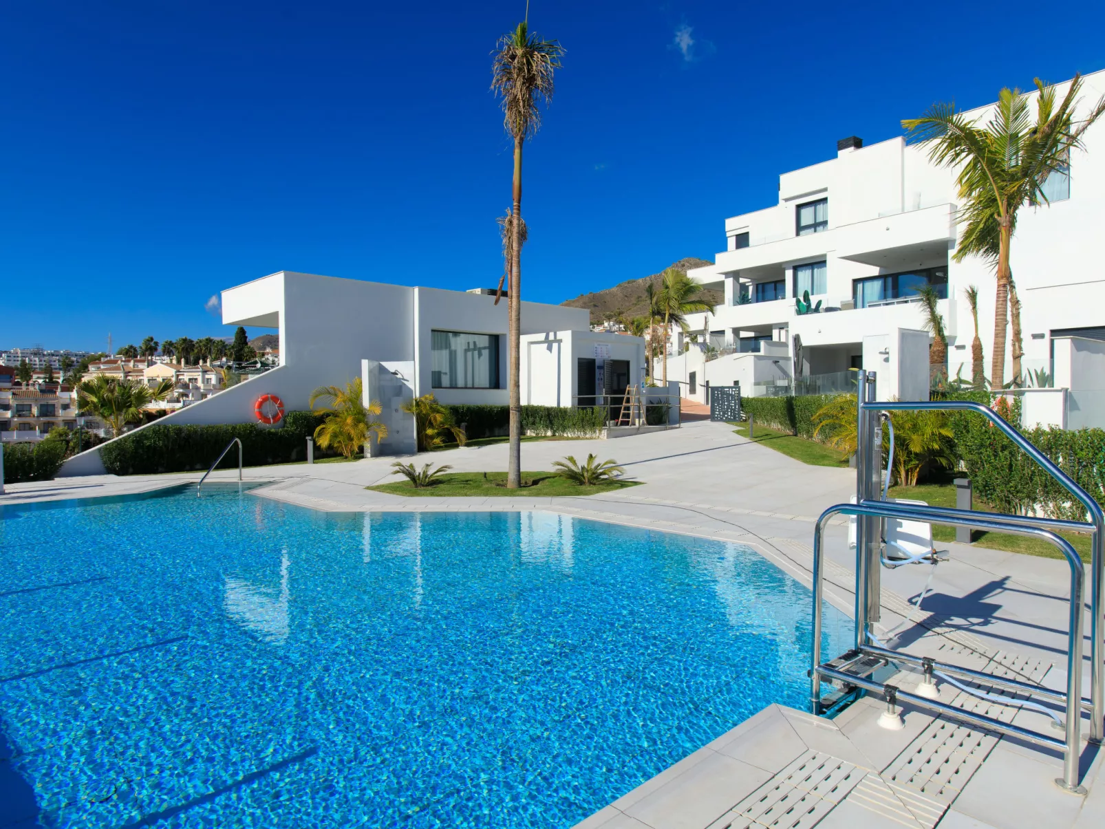 Royal Palm-Dehors