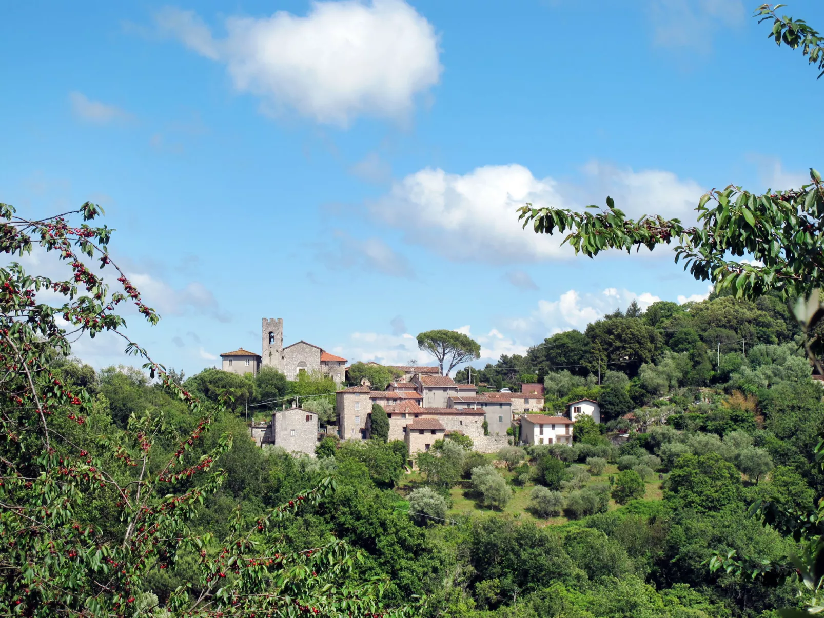 Ca` del Lovi-Area