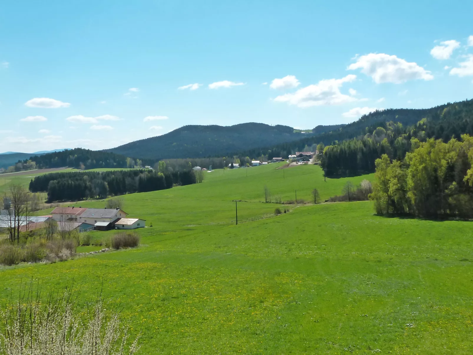 Freisinger-Outside