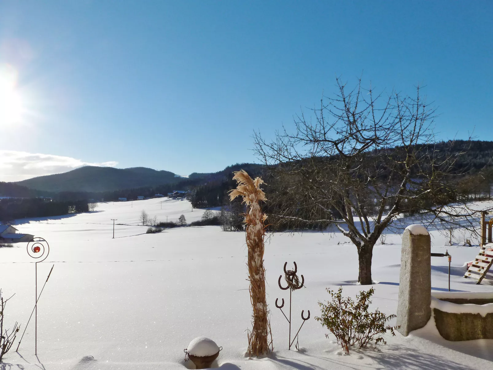 Freisinger-Outside