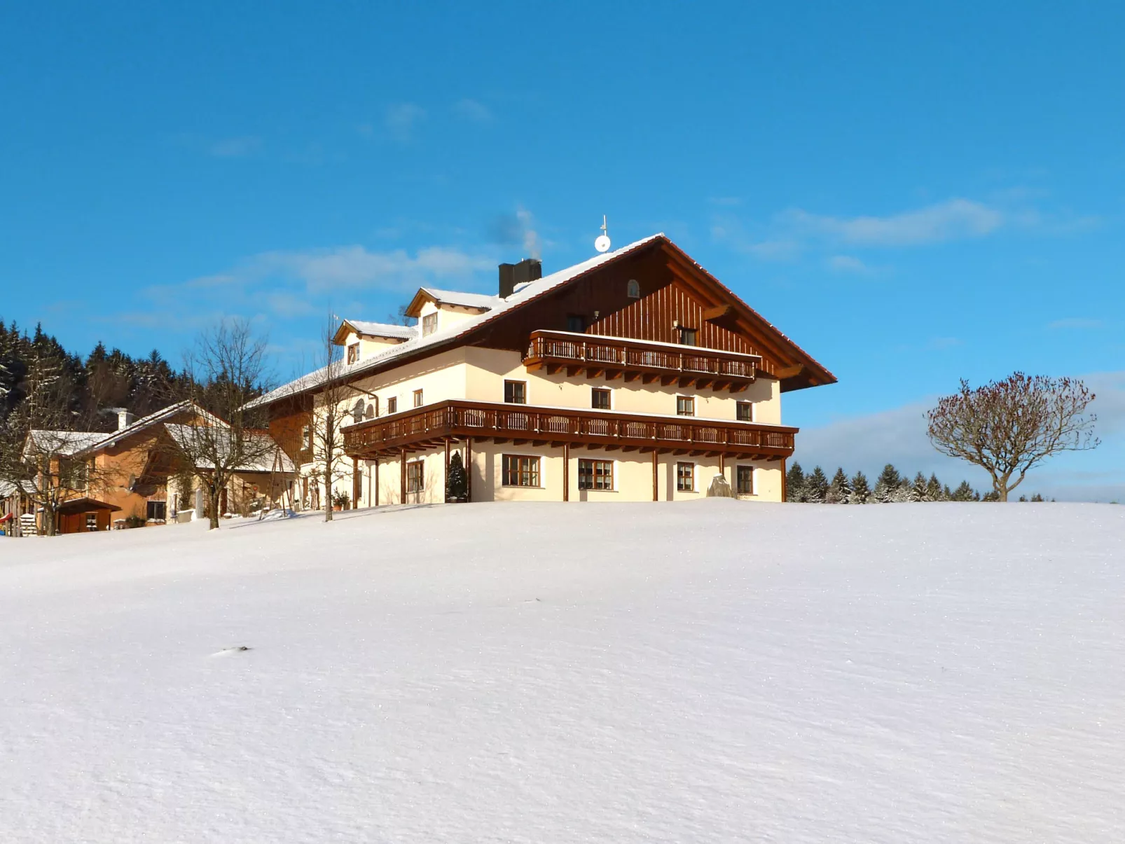 Freisinger-Outside