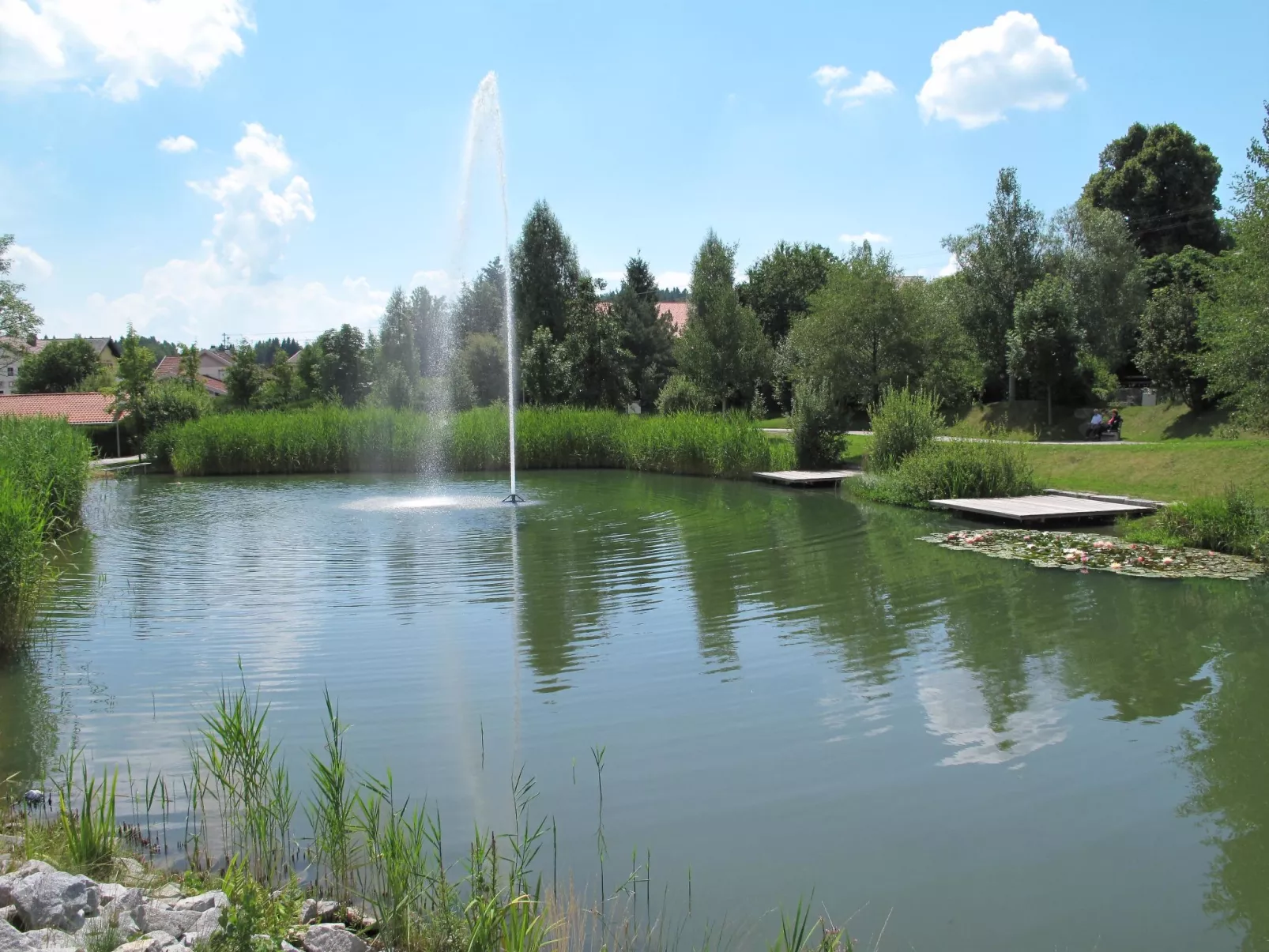 Freisinger-Area