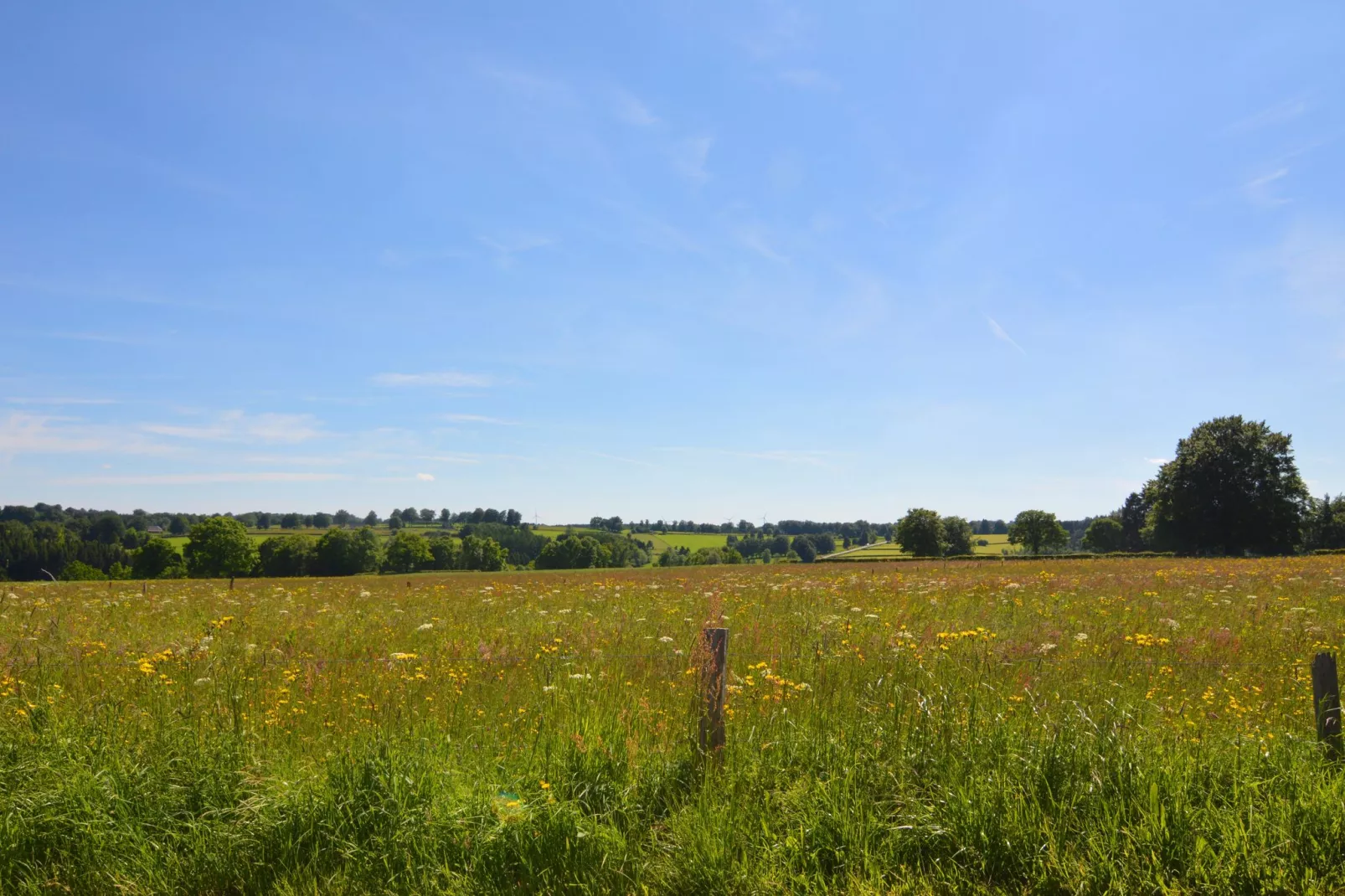 La maison de la Warche-Zones d'été à 20 km