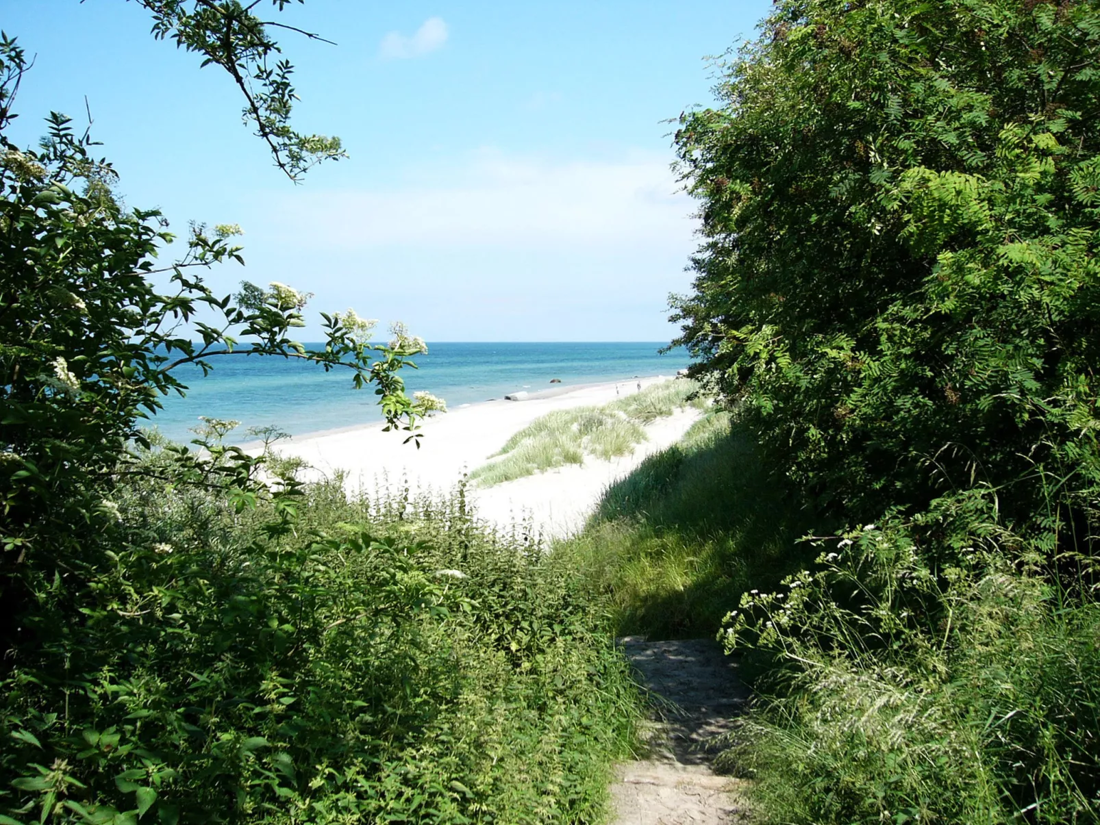 Stubbenkammer-Area