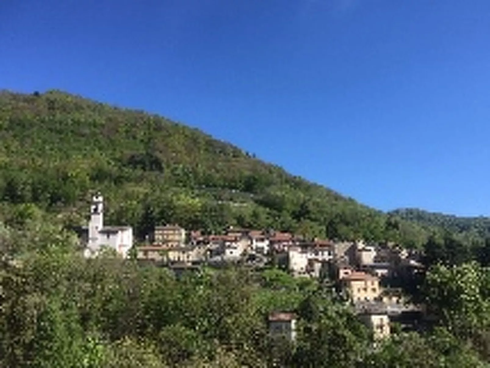 1000 e 1 Notte-Area