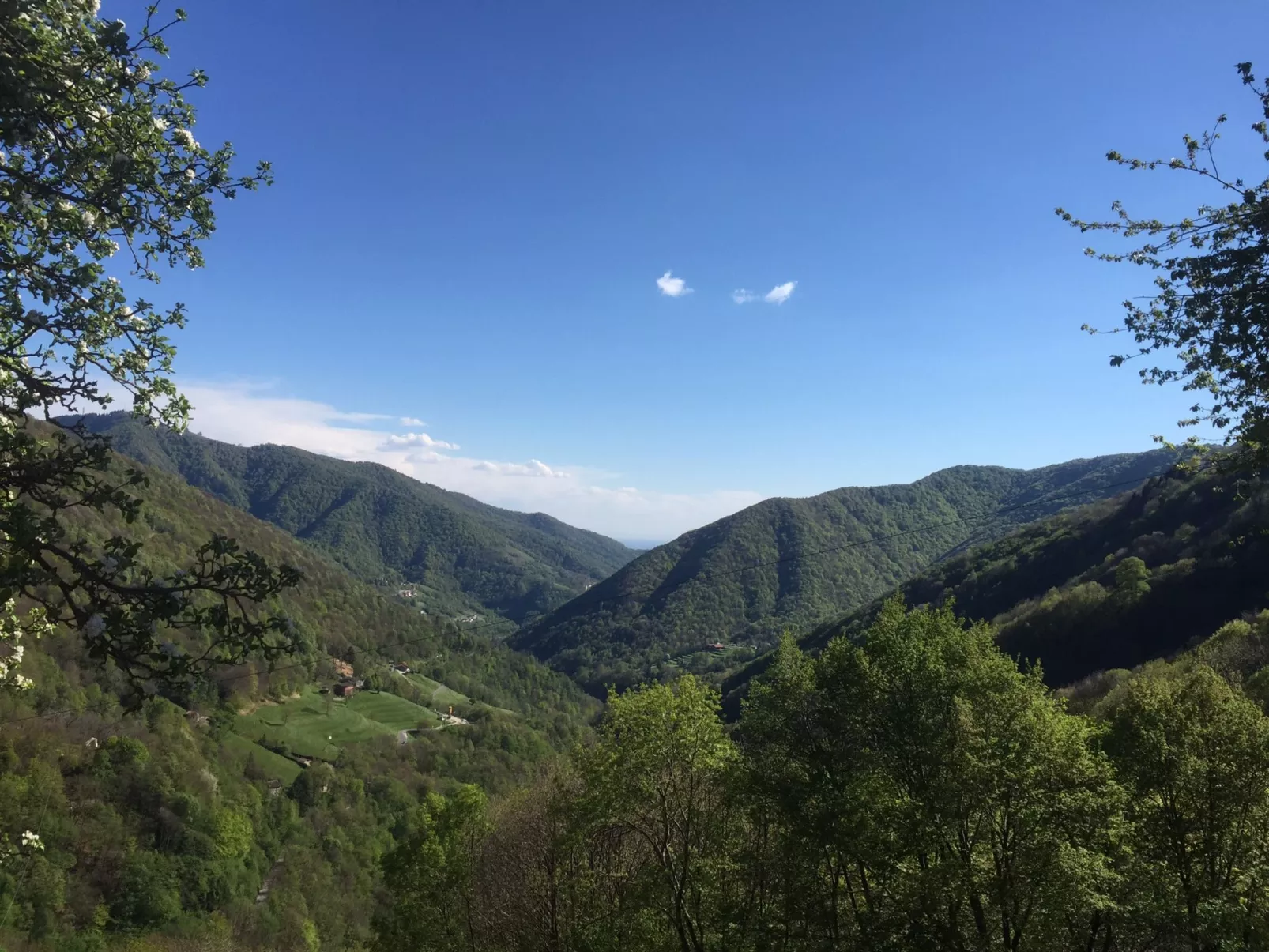 1000 e 1 Notte-Area