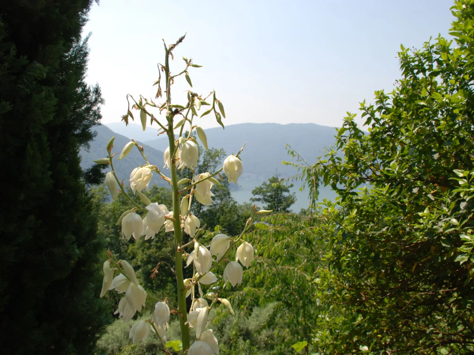 Studio al vigneto-Outside