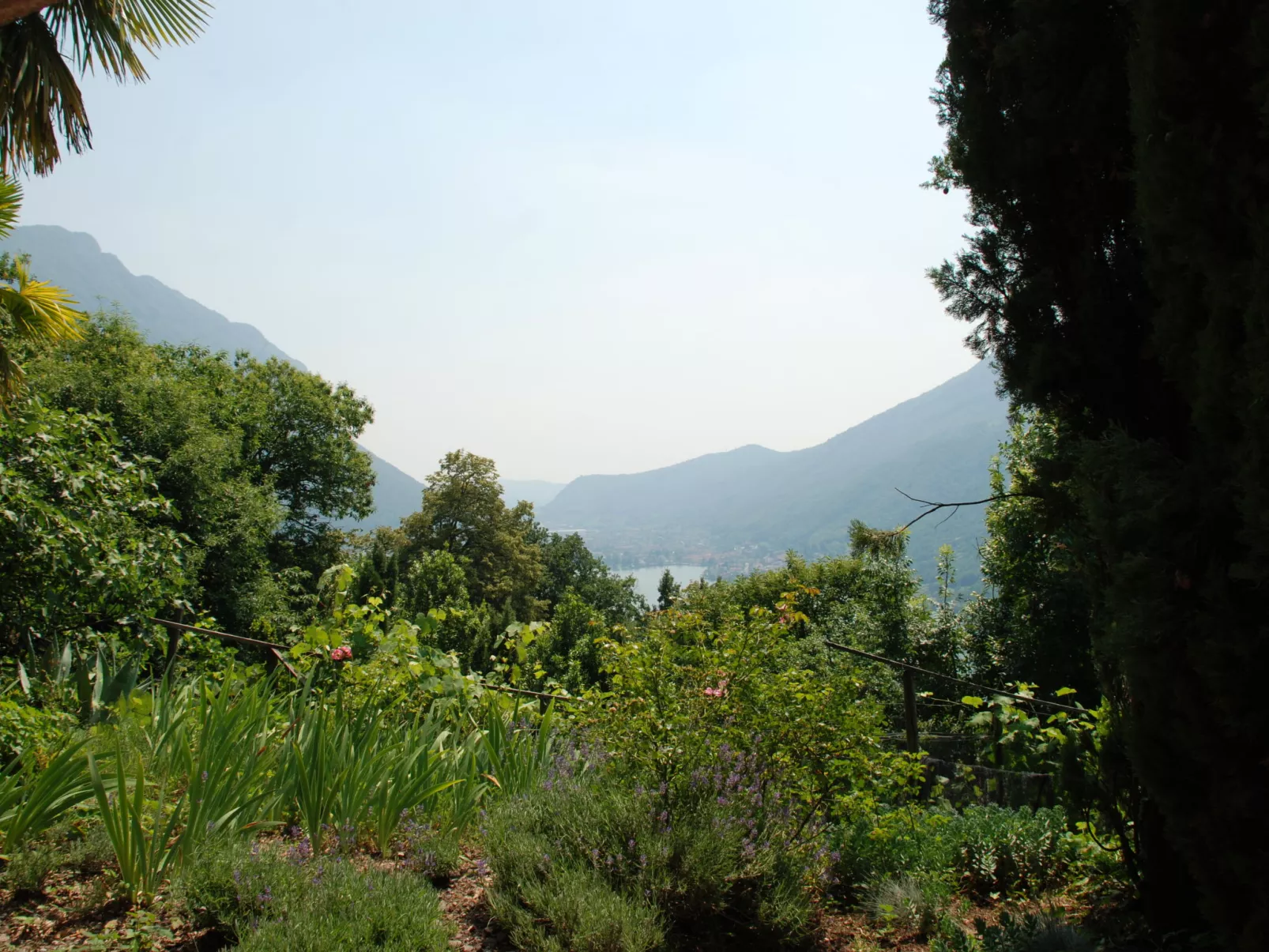 Studio al vigneto-Outside